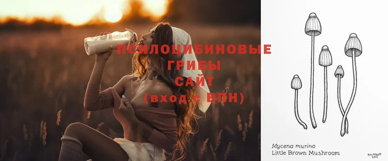 ссылка на мегу ссылки  как найти закладки  Саки  даркнет телеграм  Галлюциногенные грибы ЛСД 