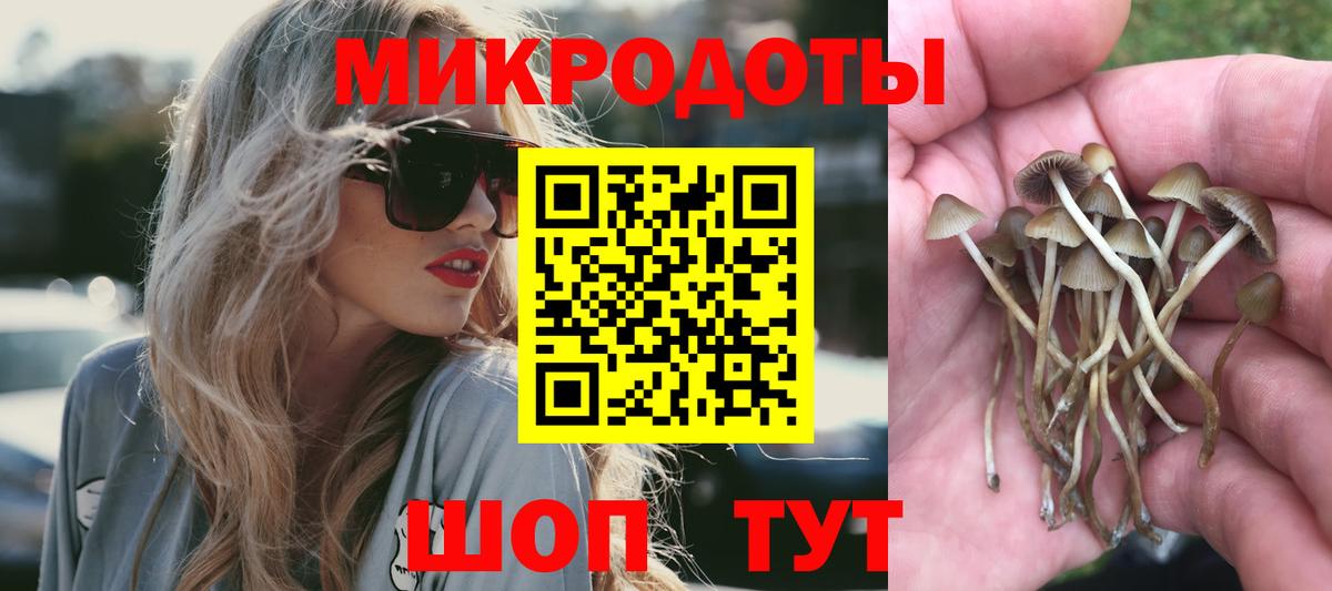 Псилоцибиновые грибы GOLDEN TEACHER  Вход с VPN  Саки 